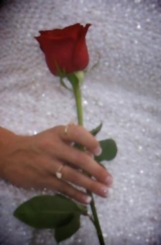Colorado Artistic Wedding Photographers