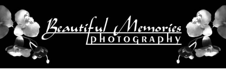 Denver based Wedding and Portrait Photographers