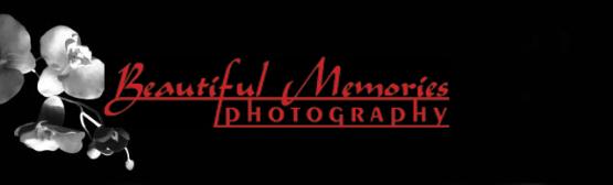 Denver Wedding Photographer