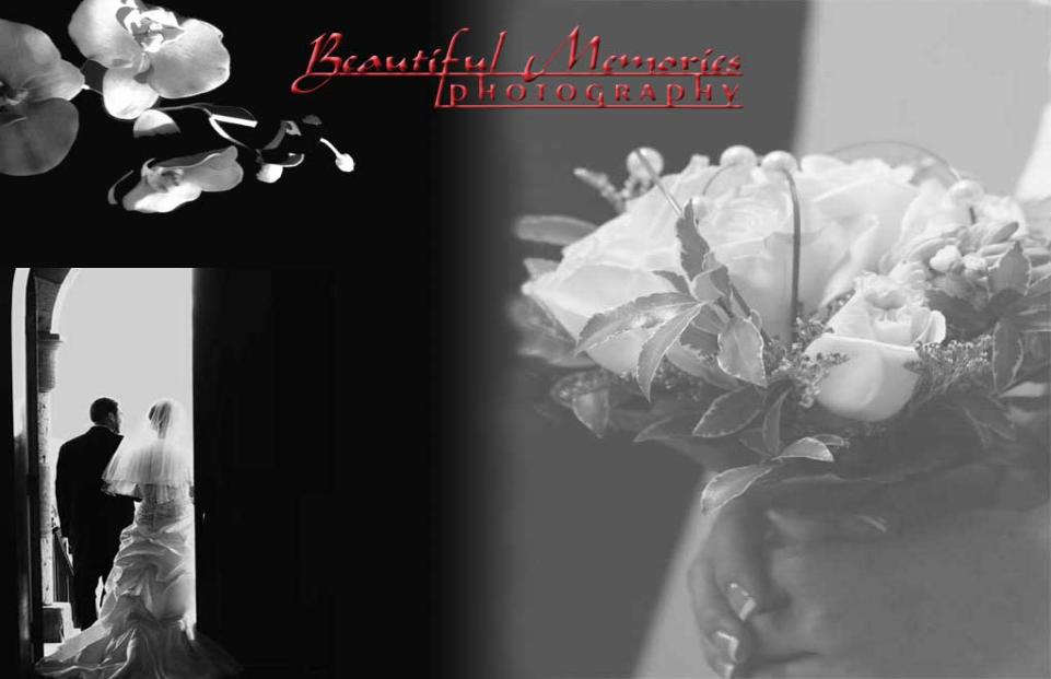 Denver Wedding Photographer, Denver Colorado Wedding Photography