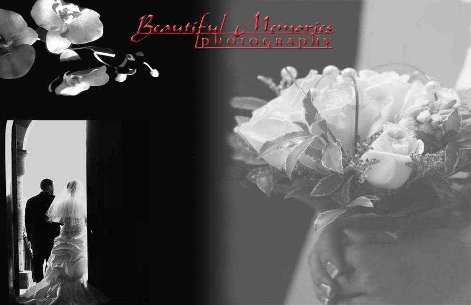 Denver based Wedding and Portrait Photographers